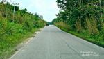 Kelok 9, Jalan Raya Favorit untuk Berfoto Ria di SumBar