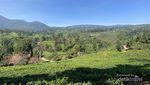 Kemah Gaya Overland di Ranca Cangkuang Bandung