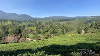 Pemandangan sekitar
