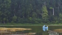 Kedalamannya tinggal 1,5 meter