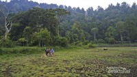 Area ini biasa tergenang air