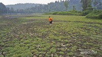 Situ Gunung mengering