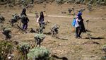 Kembali ke Alam di Surya Kencana