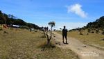 Kembali ke Alam di Surya Kencana