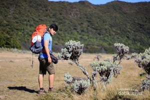 Kembali ke Alam di Surya Kencana