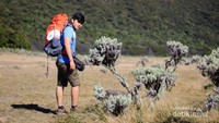 Menjelajahi Surya Kencana