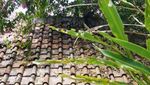 Kembali ke Zaman Kerajaan Mataram di Ullen Sentalu