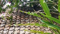 Pintu atau lorong terakhir sebelum keluar area koleksi