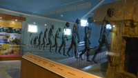 Proses evolusi manusia purba hingga manusia modern