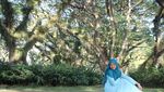 Kembaran Hutan Lord of The Rings di Ujung Pulau Jawa