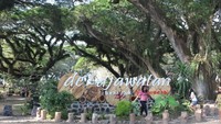 Bagian depan hutan De Djawatan dengan spot berfoto bagi pengunjung