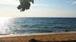 Kembaran Pantai Kuta di Sulawesi Tengah