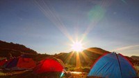 Menikmati hangatnya sinar matahari pagi