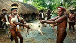 Kemeriahan Pesta Bakar Batu di Lembah Baliem