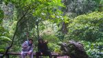 Kemping Asyik di Kaki Gunung Ciremai