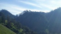 Para Pendaki yg menjajal Mitos Tanjakan Cinta