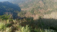 pemandangan menjelang siang hari