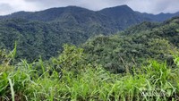 keindahan alam dibukit puteran