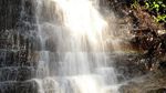 Kemping Seru di Alam Terbuka Kalimantan