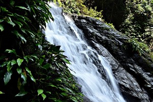 Kemping Seru di Alam Terbuka Kalimantan