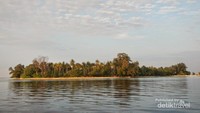 Pulau Papa Theo