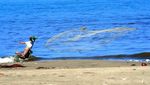 Kemping Seru & Murah Meriah di Pantai Pasir Putih Anyer
