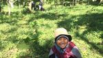 Kenali Rinjani, Gunung Bintang Lima di Lombok