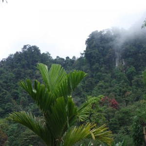 Kenalkan, Ini Dharmasraya yang Eksotis di Tanah Minang