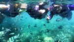 Kenalkan, Ini Gili Labak yang Eksotis Kebanggaan Madura