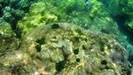 Kenalkan, Ini Gili Labak yang Eksotis Kebanggaan Madura