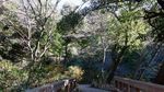 Kenangan mengunjungi Tokyo, Jepang
