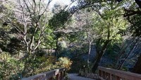 Jembatan di Shinjuku gyoen