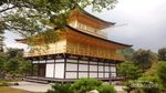 Kenangan Perjalanan ke Negeri Sakura Jepang