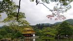 Kenangan Perjalanan ke Negeri Sakura Jepang