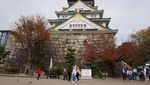 Kenapa Kastil Jepang Ini Jadi Destinasi Favorit Traveler?