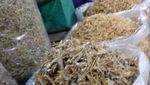 Kenjeran Surga untuk Pecinta Ikan Asin