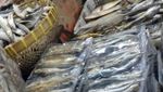 Kenjeran Surga untuk Pecinta Ikan Asin