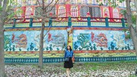 Berkeliling Pagoda Tian Ti dan berhenti sejenak untuk mengagumi mekarnya bunga tabebuya yang memberikan nuansa bak sakura bersemi di Jepang.