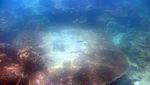 Kenyamanan yang Tertunda di Pulau Tunda