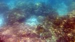 Kenyamanan yang Tertunda di Pulau Tunda