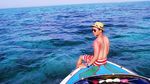 Kepulauan Derawan, Dari Penyu sampai Ubur-ubur Tak Menyengat