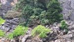 Kepulauan Phi Phi, Surga Dunia Asia Tenggara