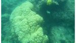 Kepulauan Seribu, Tempat yang Pas untuk Wisata Edukasi