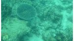Kepulauan Seribu, Tempat yang Pas untuk Wisata Edukasi
