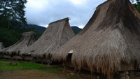 Rumah Adat Wologai