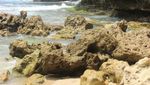 Keren! Air Terjun Langsung ke Laut di Gunungkidul