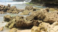 Tebing Karang Pantai Jogan
