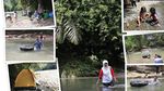 Keren! Bisa Memberi Makan Gajah di Hutan Langkat