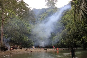 Keren! Bisa Memberi Makan Gajah di Hutan Langkat