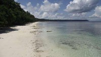 Suasana Pulau Kakaban (dok. Raja Wisata.dtraveler)